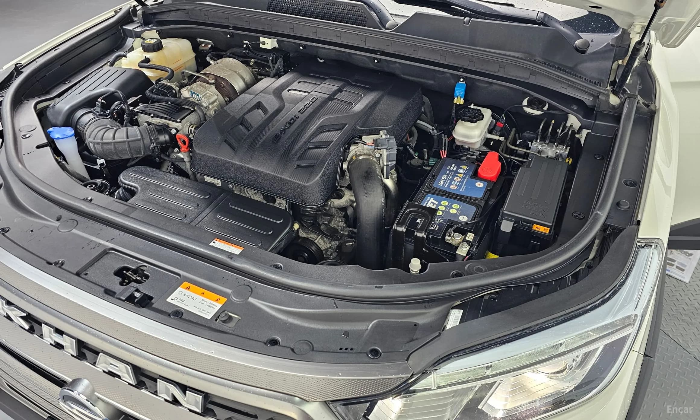 Rexton Sports Khan