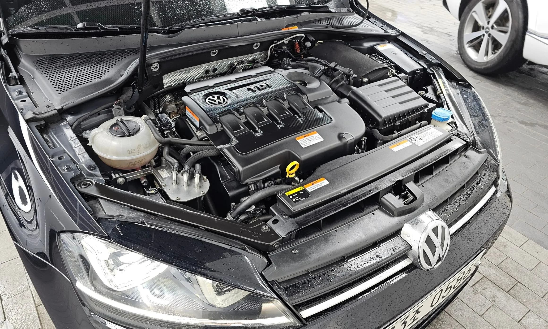 Golf 7th Generation
