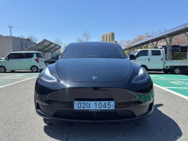 Model Y