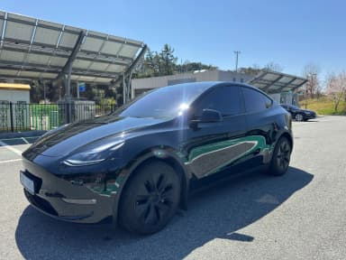 Model Y