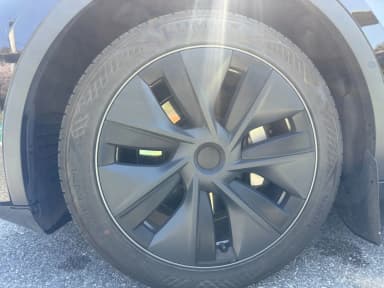 Model Y
