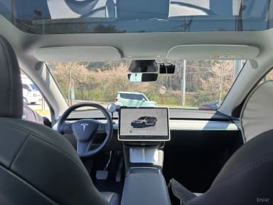 Model Y