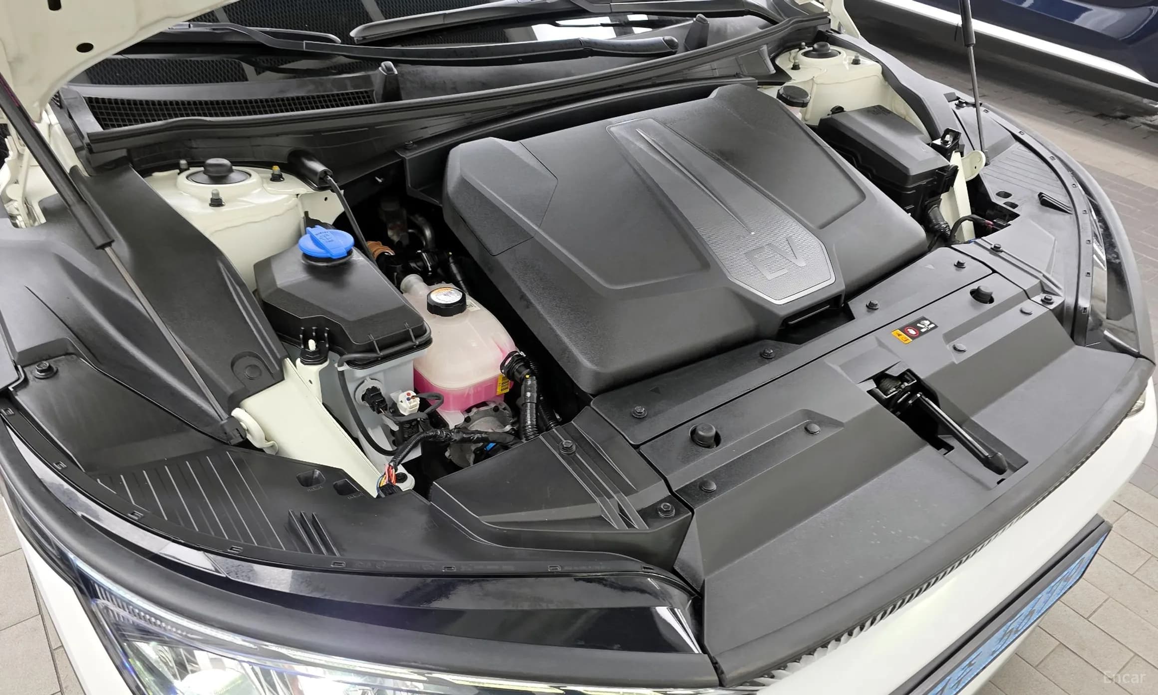 EV6