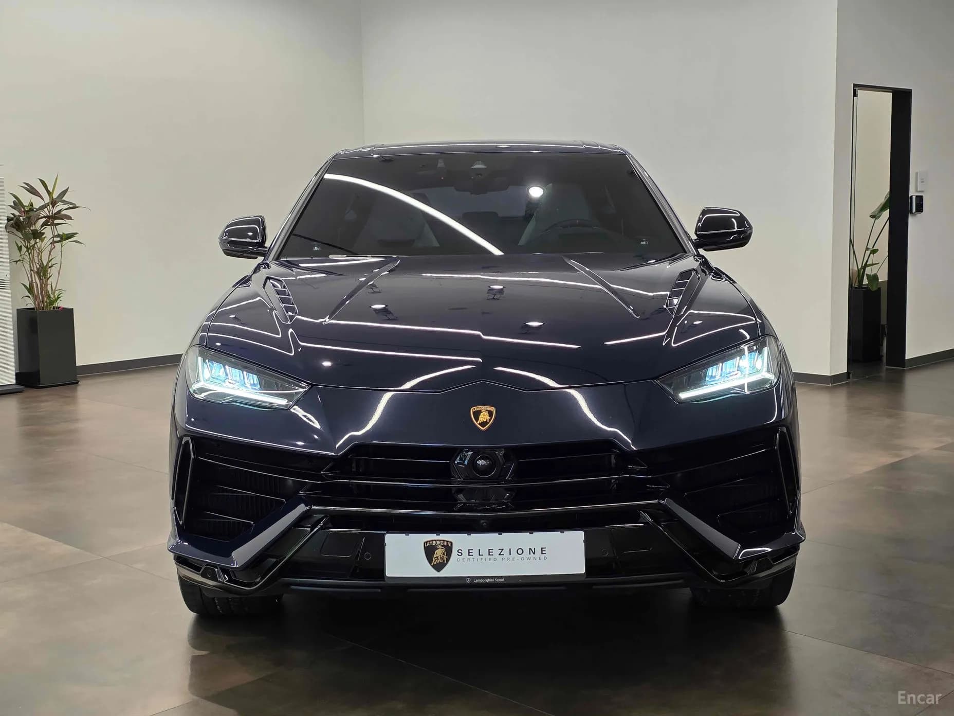 Urus