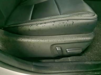 New Camry