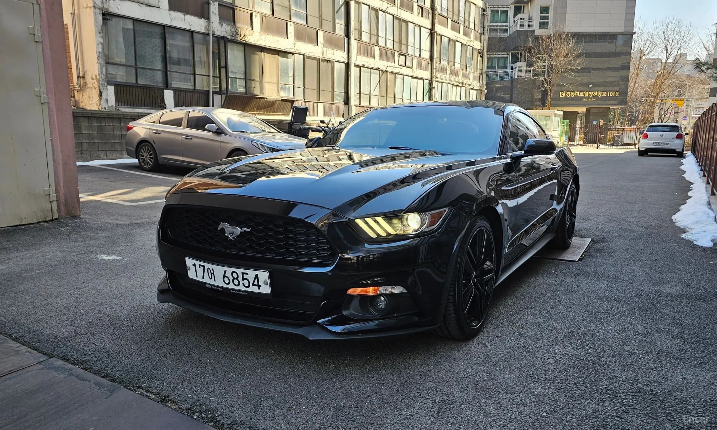 Mustang