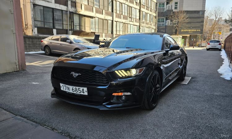 Mustang