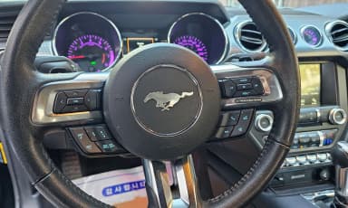 Mustang