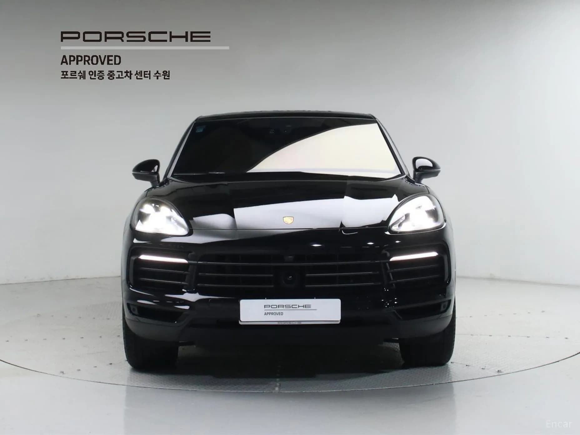 Cayenne (PO536)