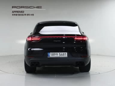 Cayenne (PO536)