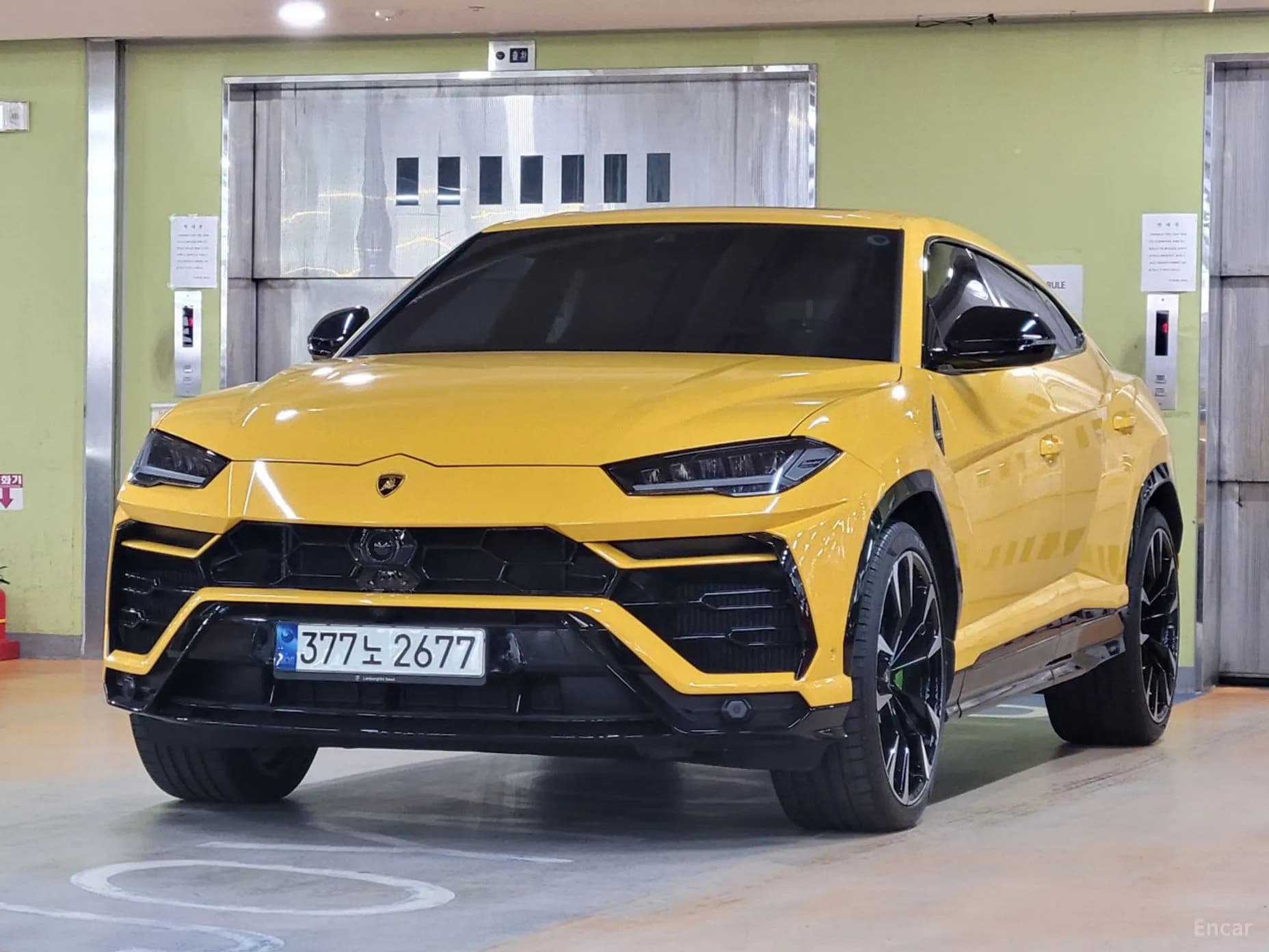 Urus