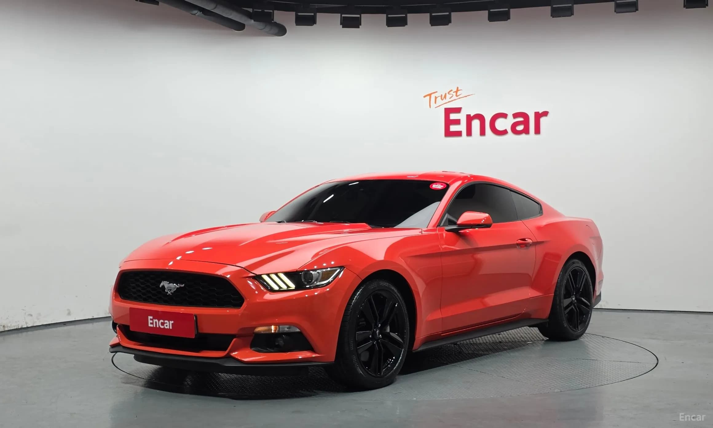 Mustang