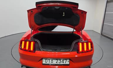 Mustang