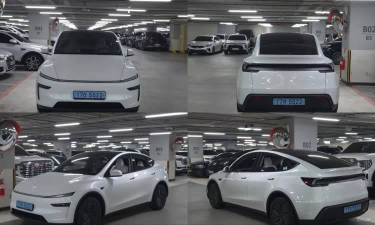 Model Y