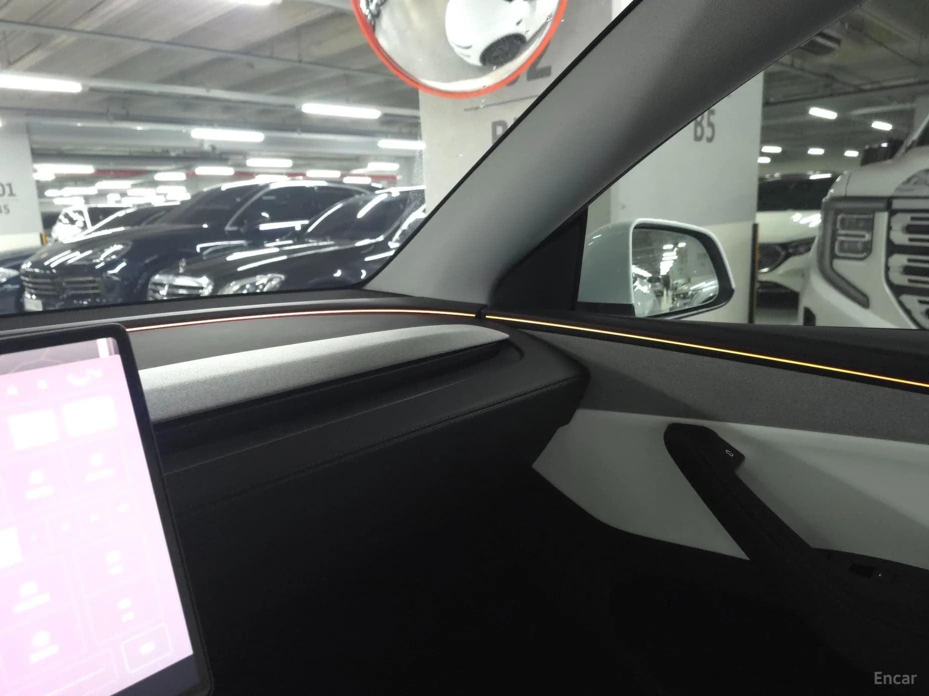 Model Y