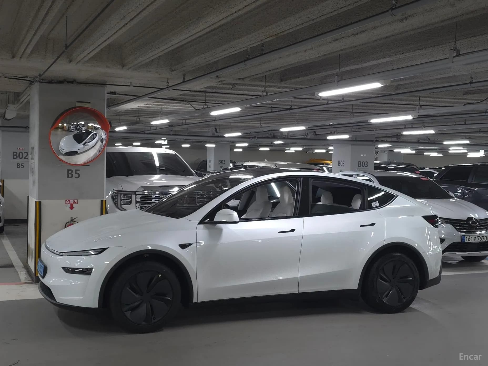 Model Y