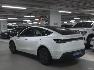 Model Y