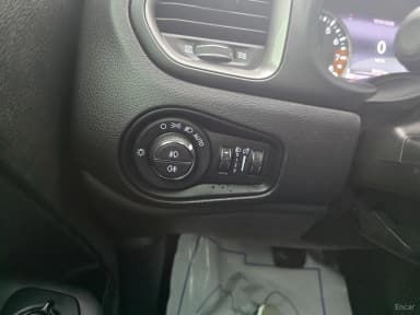 Renegade