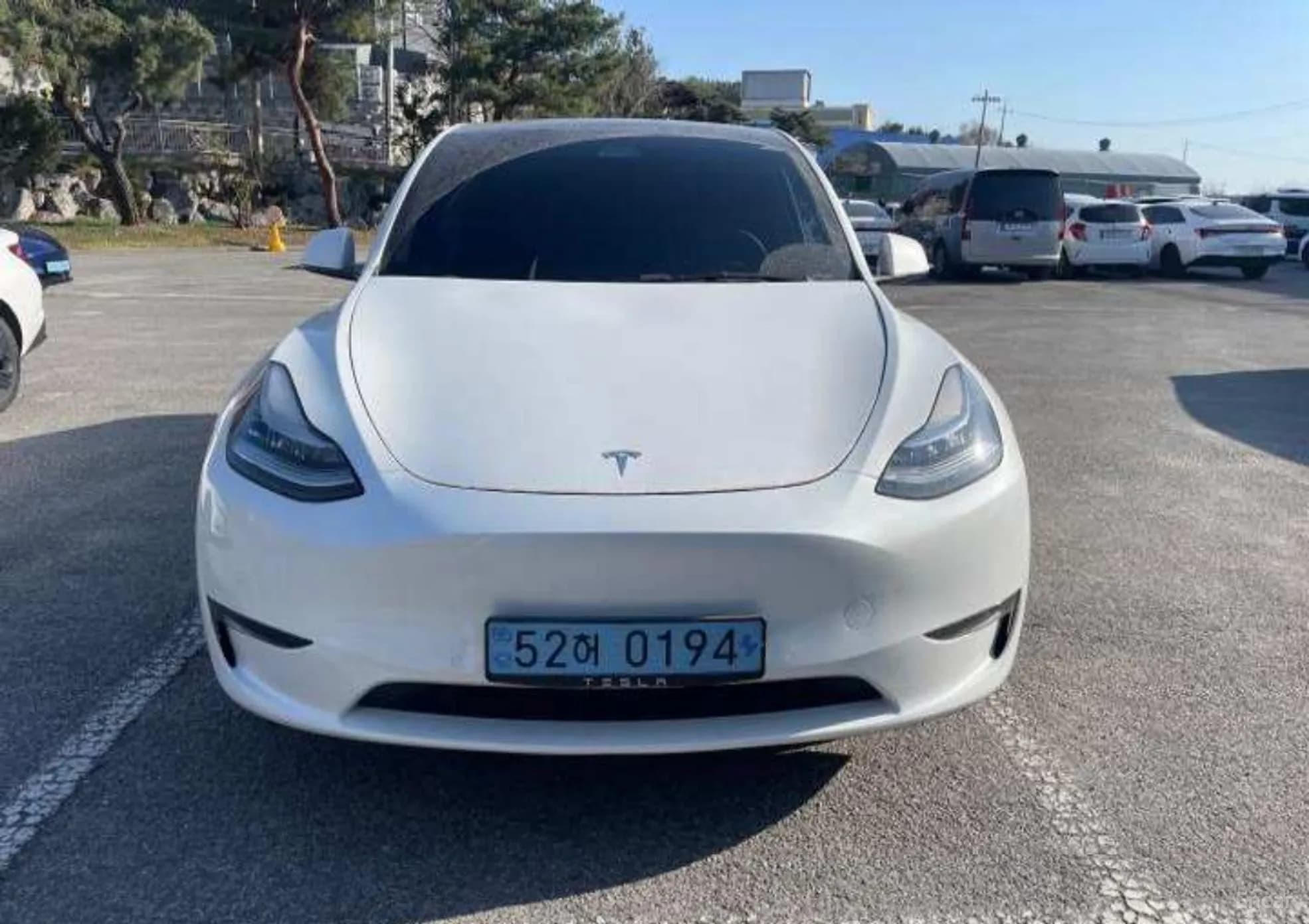 Model Y