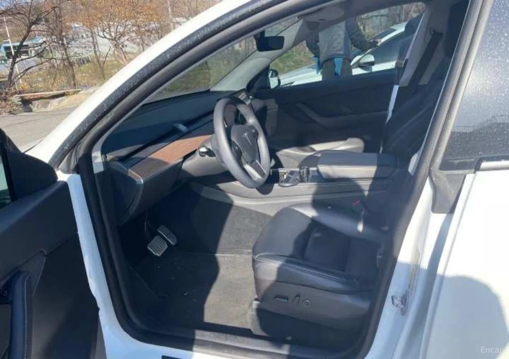 Model Y
