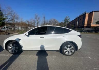 Model Y