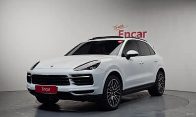 Cayenne (PO536)