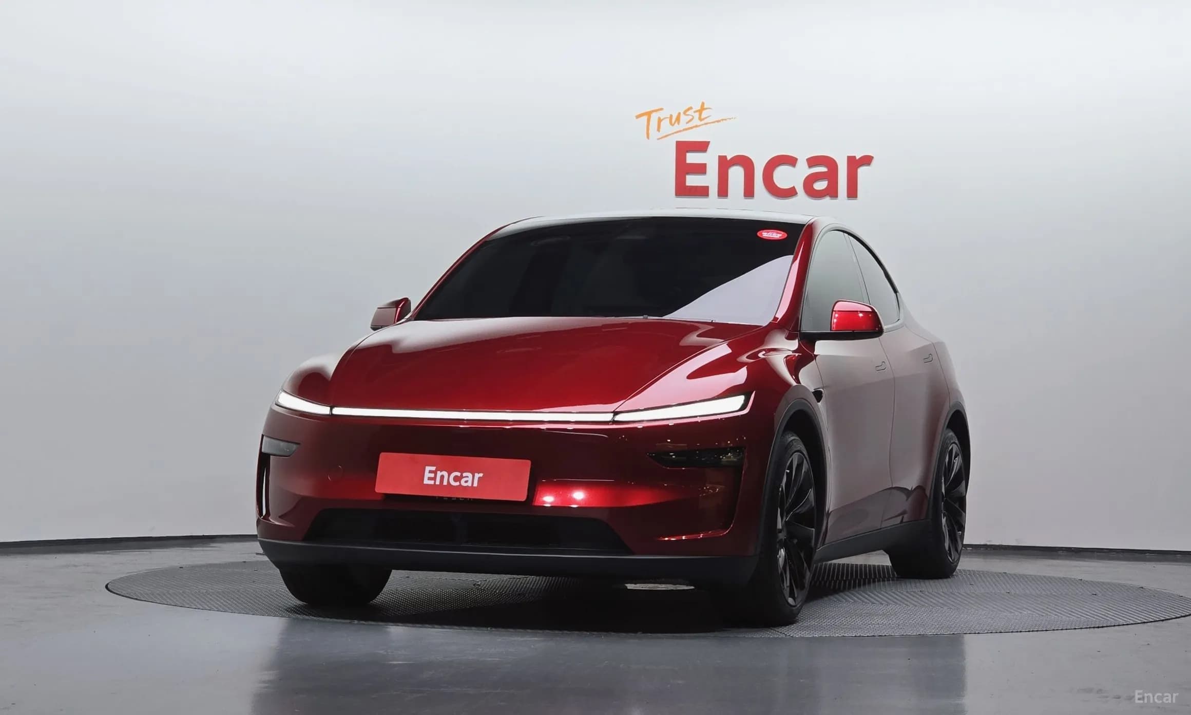 Model Y