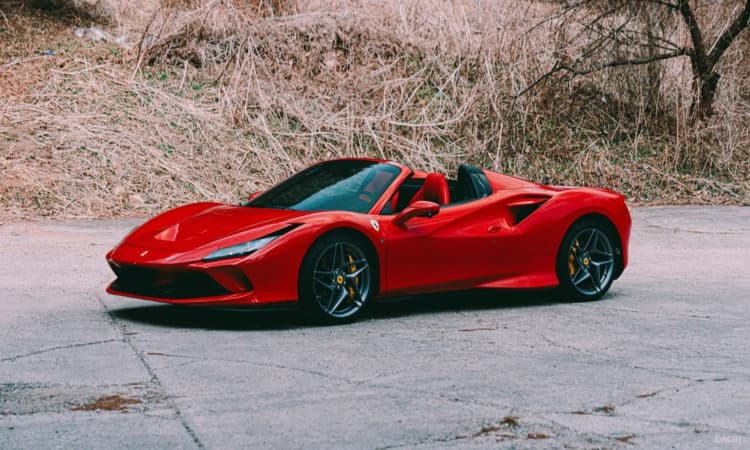 F8 Spider