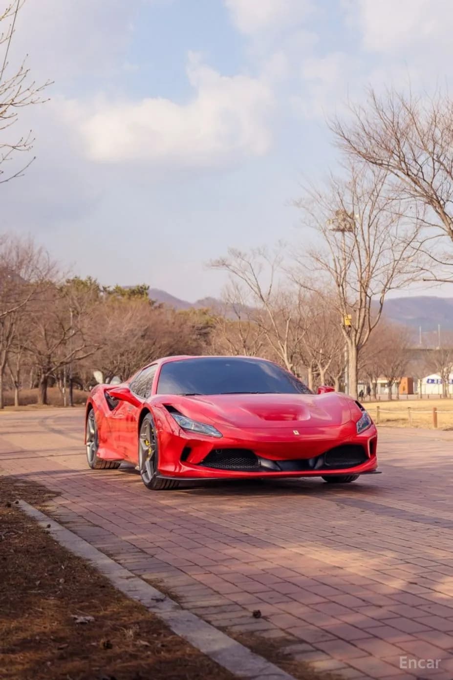 F8 Spider