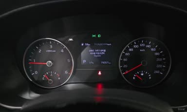 Sportage The Bold