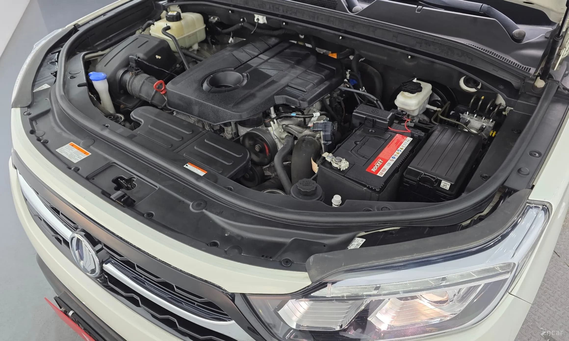 Rexton Sports