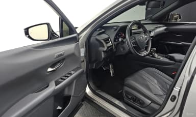 UX250h