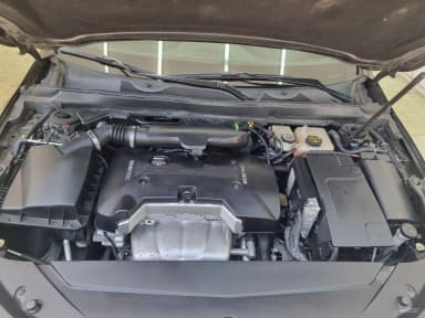 Impala