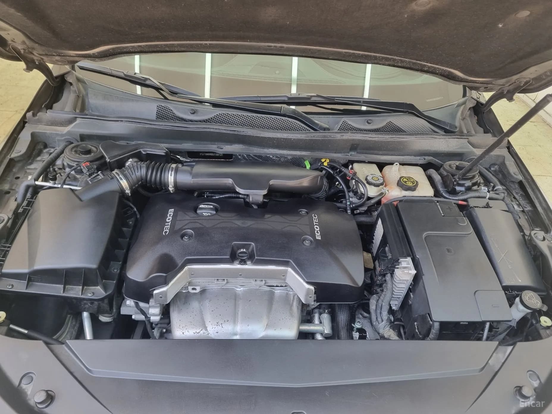 Impala
