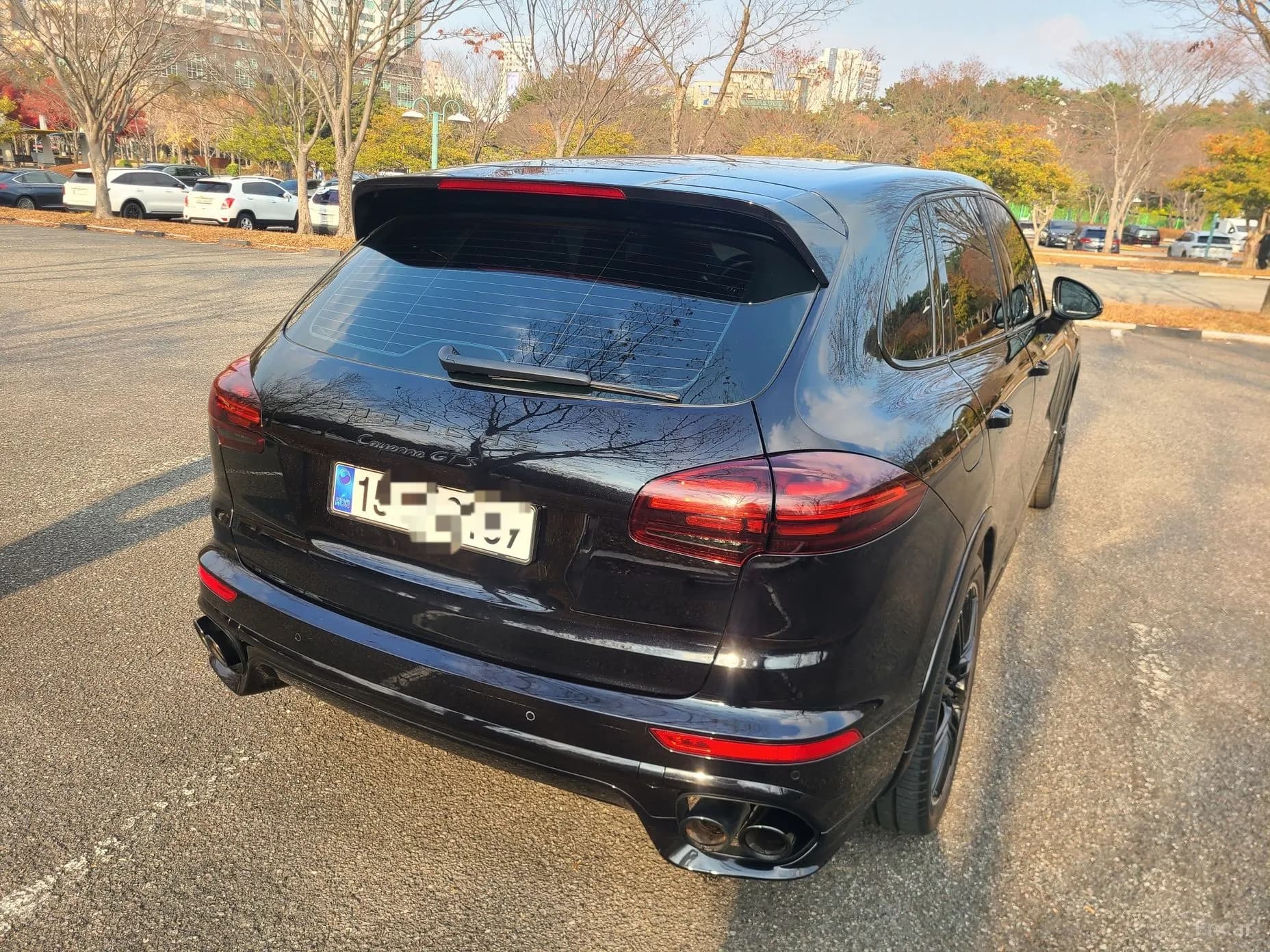 New Cayenne