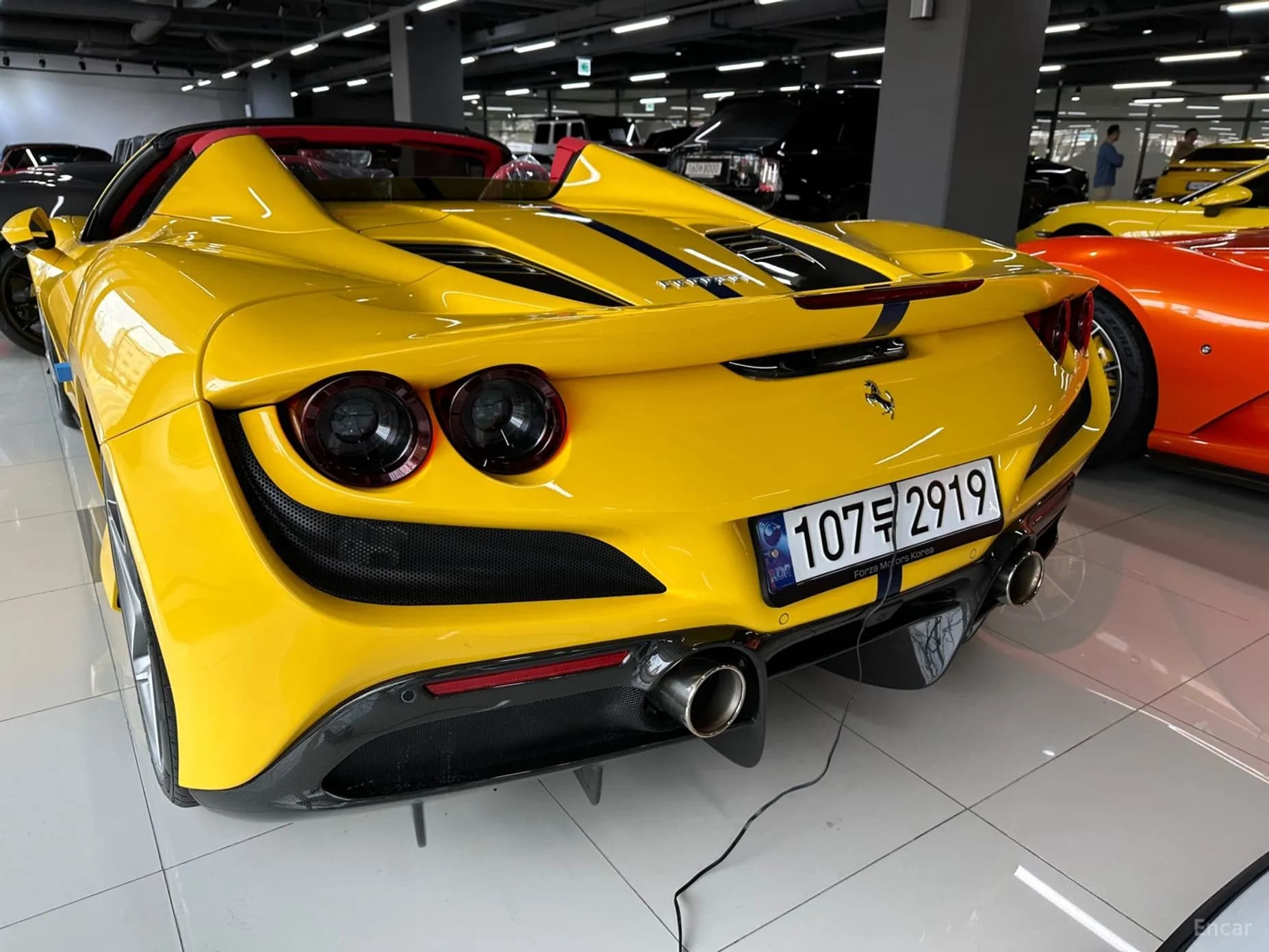 F8 Spider