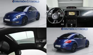The Beetle