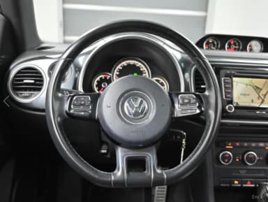 The Beetle