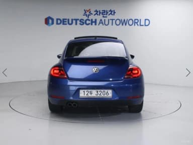 The Beetle
