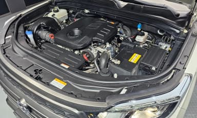 Rexton Sports