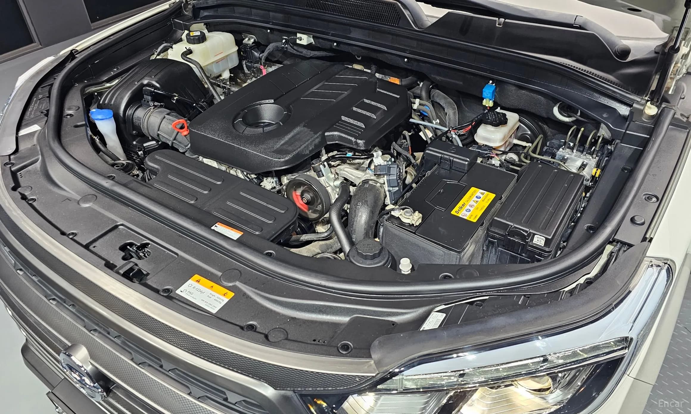 Rexton Sports