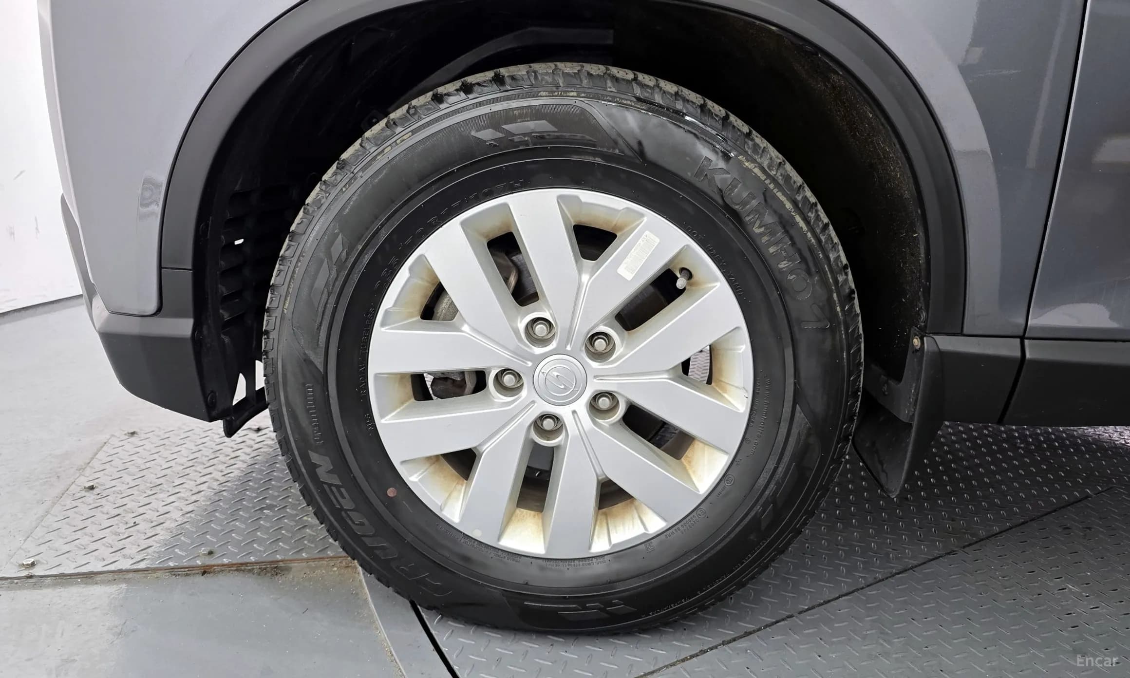 Rexton Sports