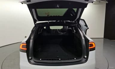 Model X