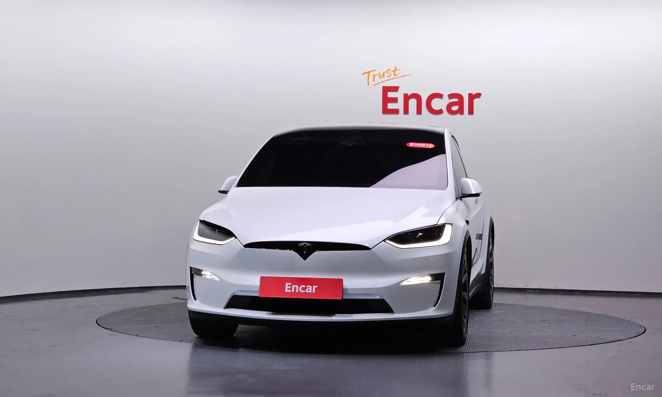 Model X