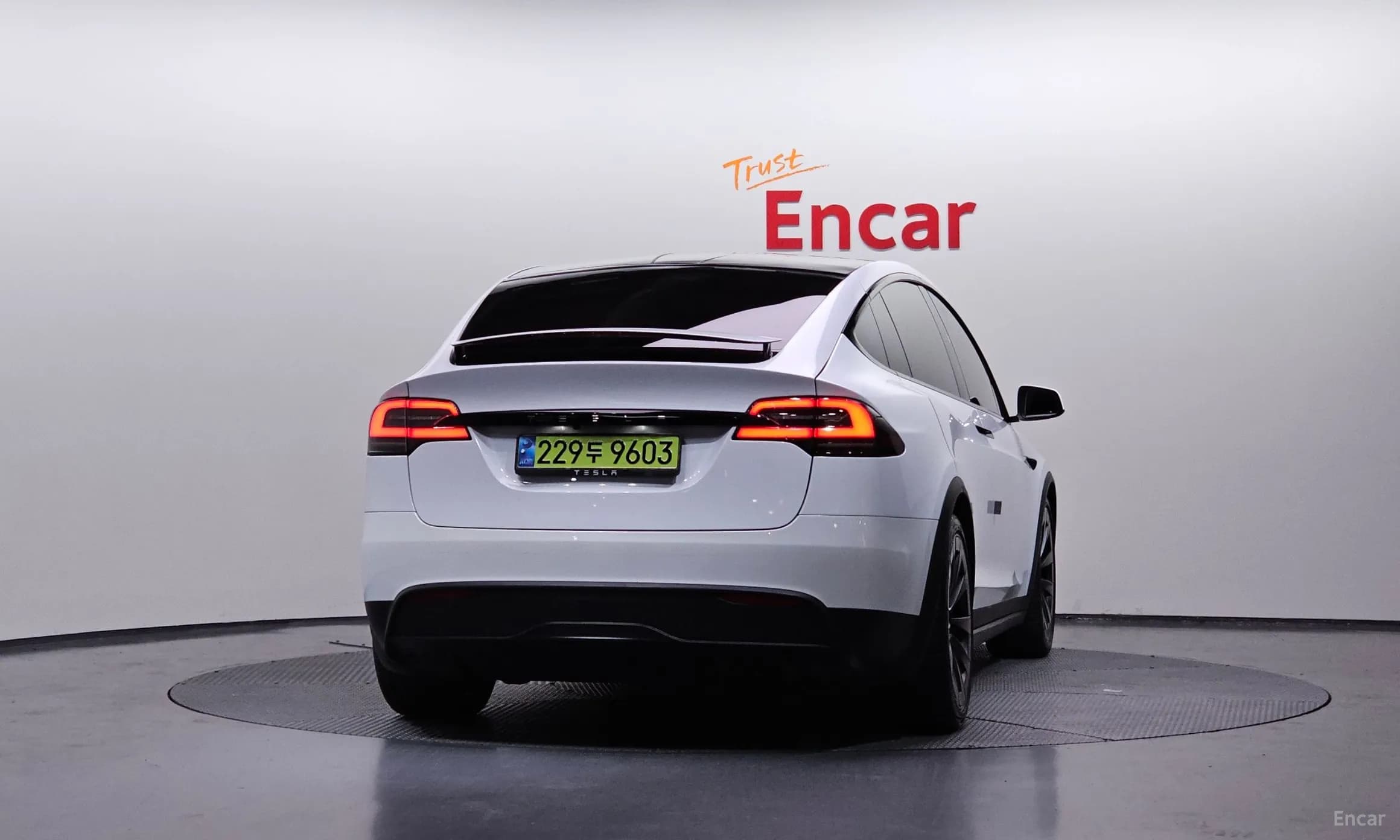 Model X