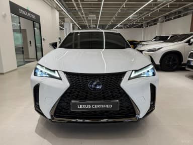 UX250h