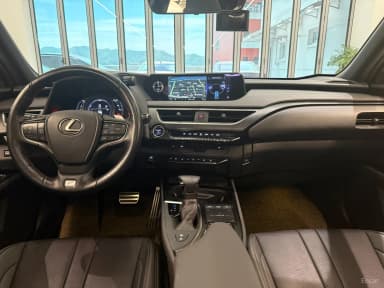 UX250h