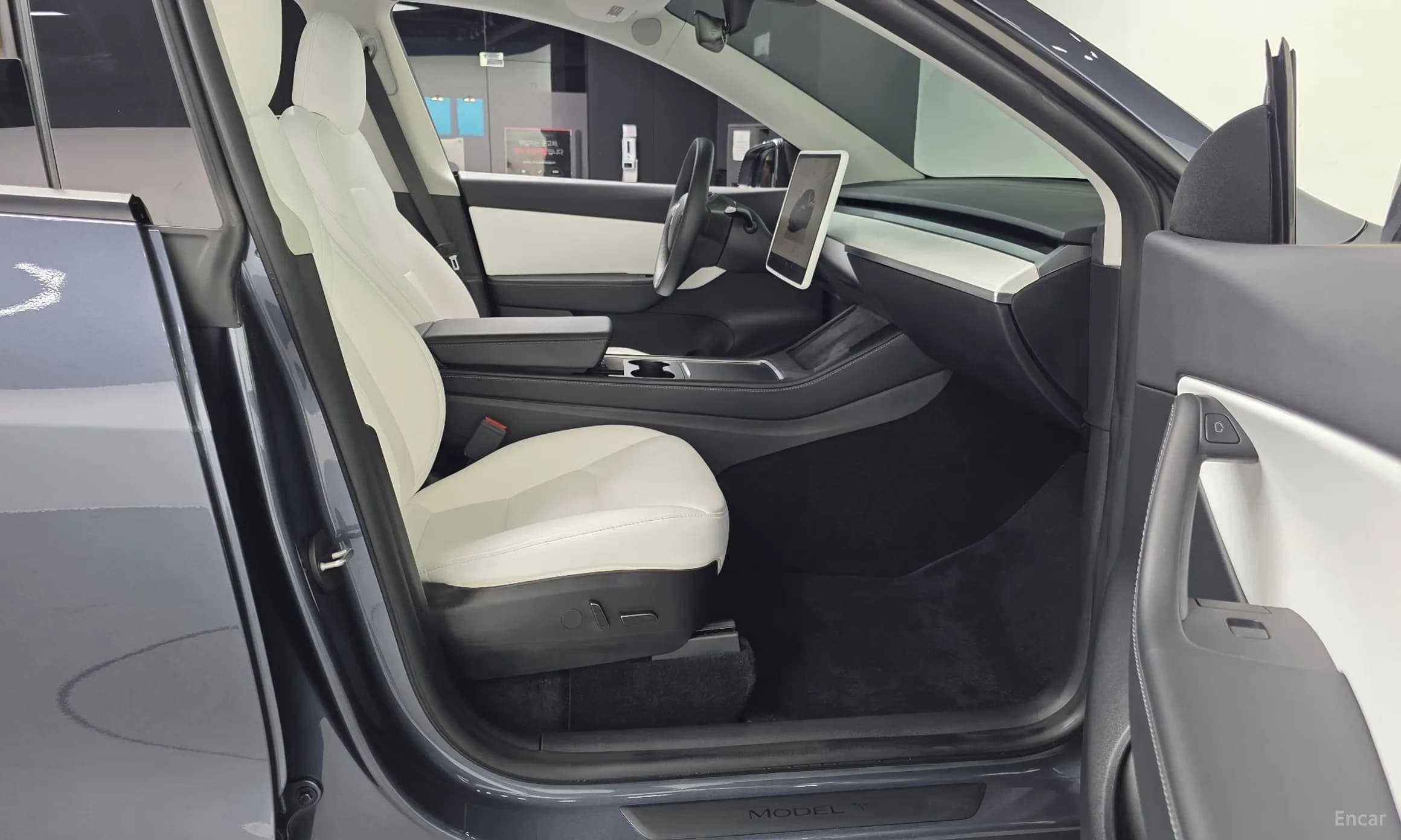 Model Y