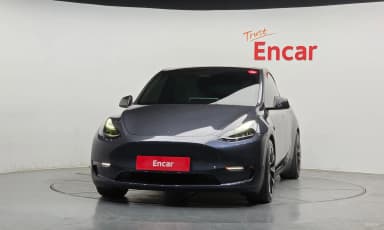 Model Y