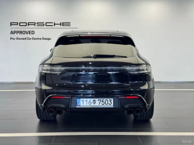 Macan